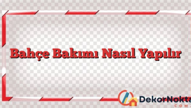 Bahçe Bakımı Nasıl Yapılır