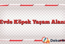 Evde Köpek Yaşam Alanı