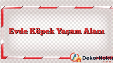 Evde Köpek Yaşam Alanı