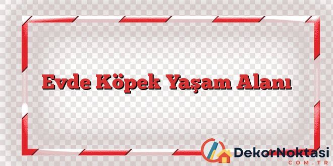 Evde Köpek Yaşam Alanı