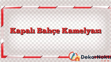 Kapalı Bahçe Kamelyası