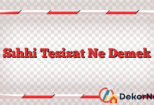 Sıhhi Tesisat Ne Demek